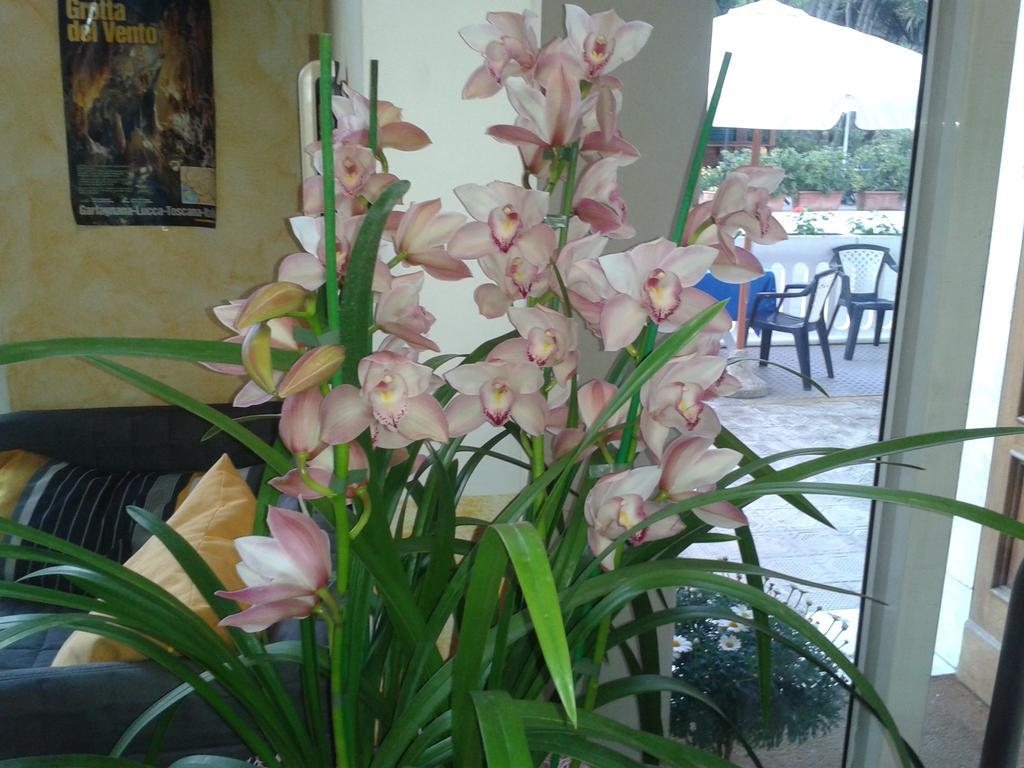 Hotel Sogno Viareggio Dış mekan fotoğraf