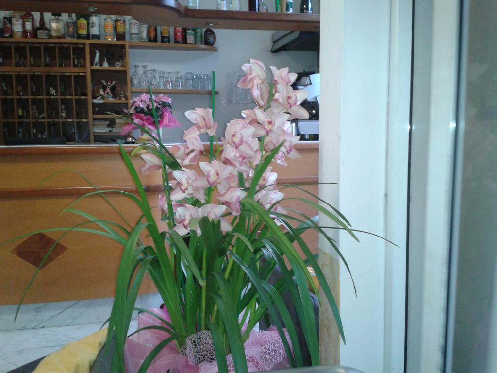 Hotel Sogno Viareggio Dış mekan fotoğraf