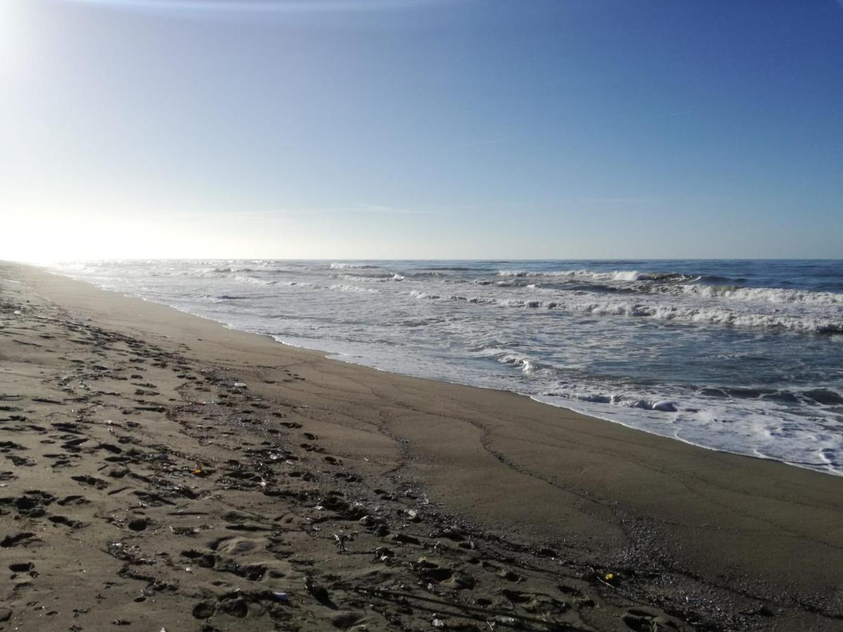 Hotel Sogno Viareggio Dış mekan fotoğraf